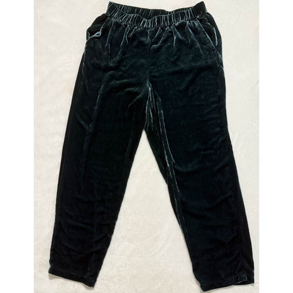 Eileen Fisher Velvet Pants Green Pull On Elastic Waist Silk Blend M